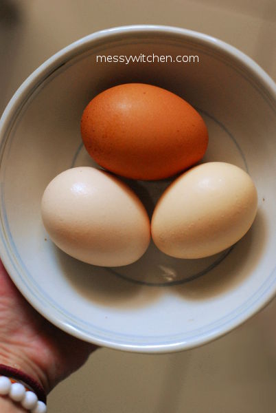 Free-Range Egg, Conventional Egg & Kampung Egg